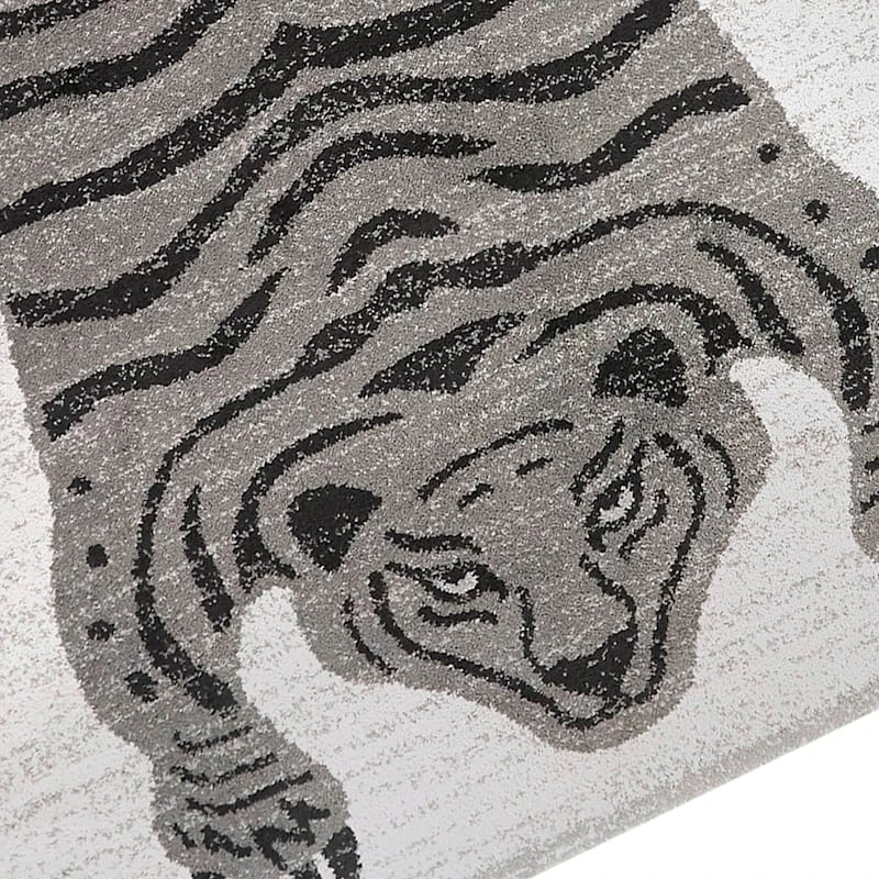 (B853) Found & Fable Elle Tiger Woven Area Rug, 5x7 - Image 5