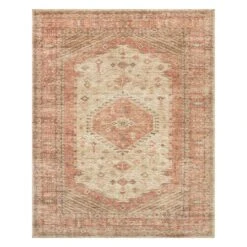 B858 Rune Red Multi Area Rug 8X10
