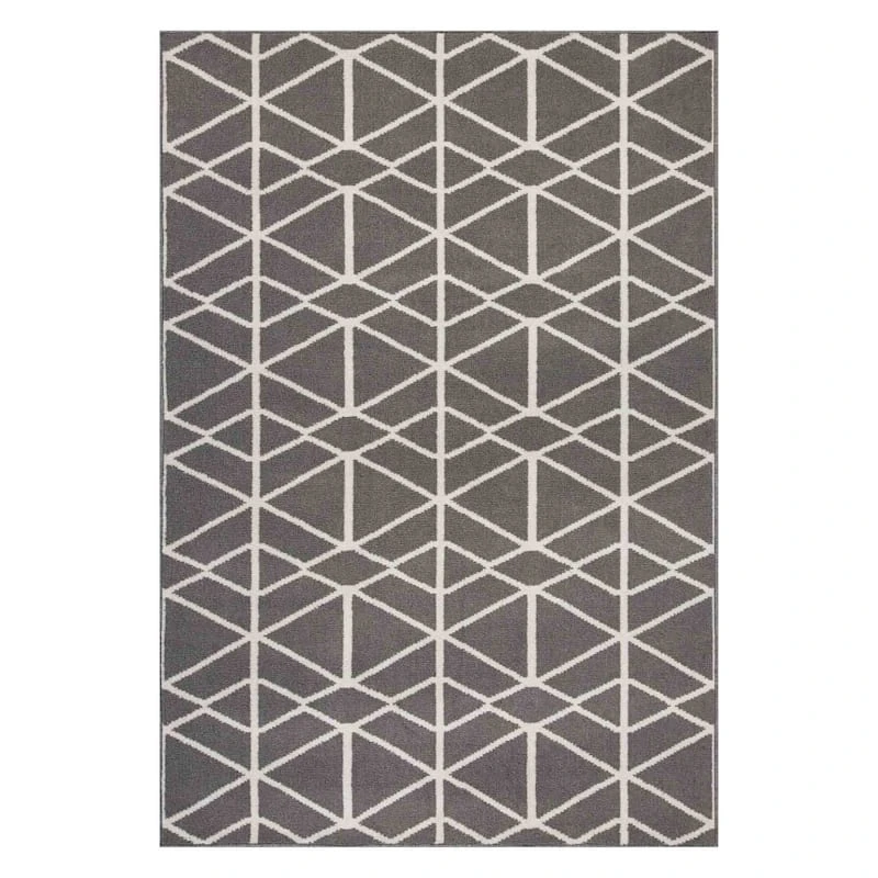 (D509) Norway Abida Grey Area Rug, 5x7