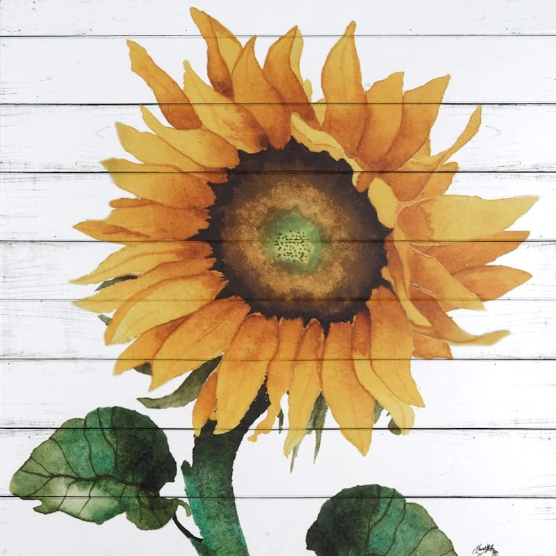 Happy Sunflower II Wood Box Art, 15x15