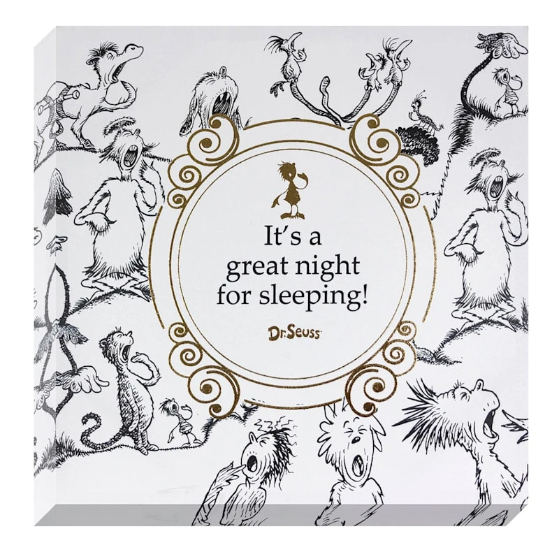 It's A Great Night For Sleeping Canvas Wall Art, 18"