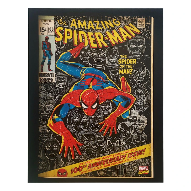 Spider-Man Canvas Wall Art, 14x18