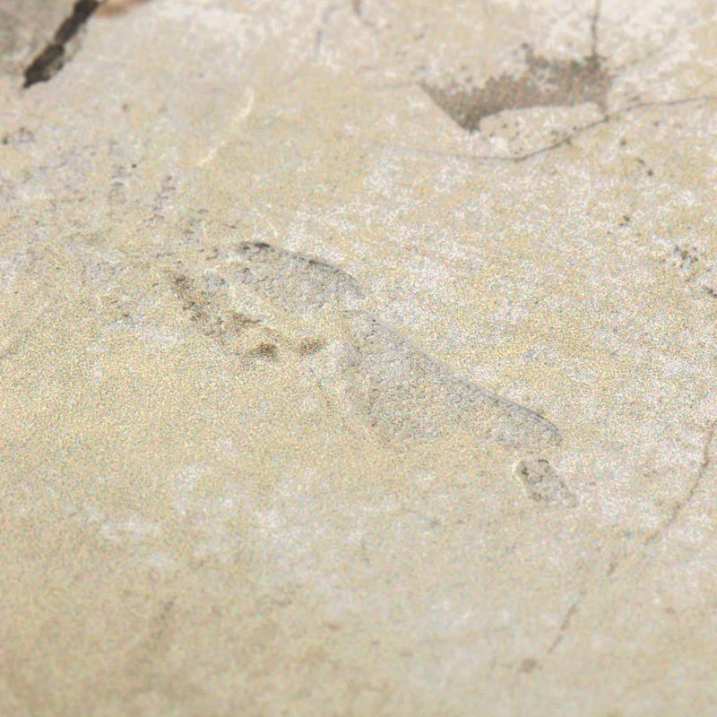 Tan Abstract Canvas Wall Art, 24x36 - Image 5