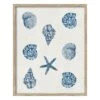 Ty Pennington Glass Framed Coastal Seashell Print Wall Art, 17x21