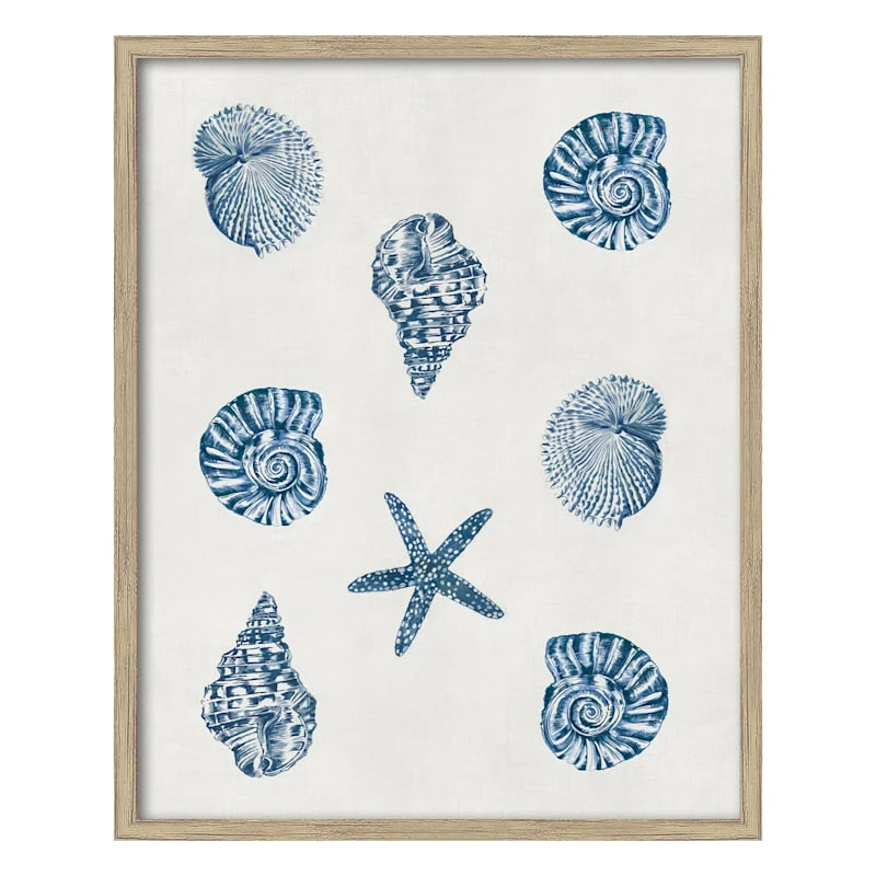 Ty Pennington Glass Framed Coastal Seashell Print Wall Art, 17x21