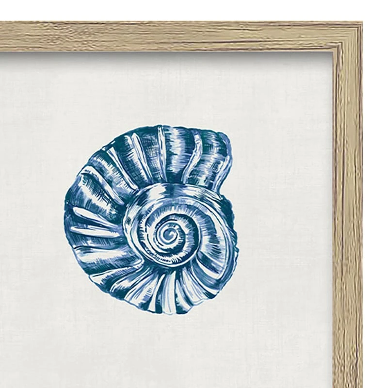 Ty Pennington Glass Framed Coastal Seashell Print Wall Art, 17x21 - Image 3